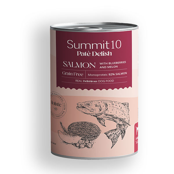SUMMIT10 Nourriture humide pour chien – Pâté monoprotéiné au saumon avec myrtilles, melon et romarin 400g