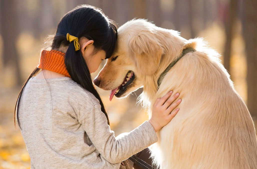 5 SIGNALS THAT YOUR DOG LOVES YOU